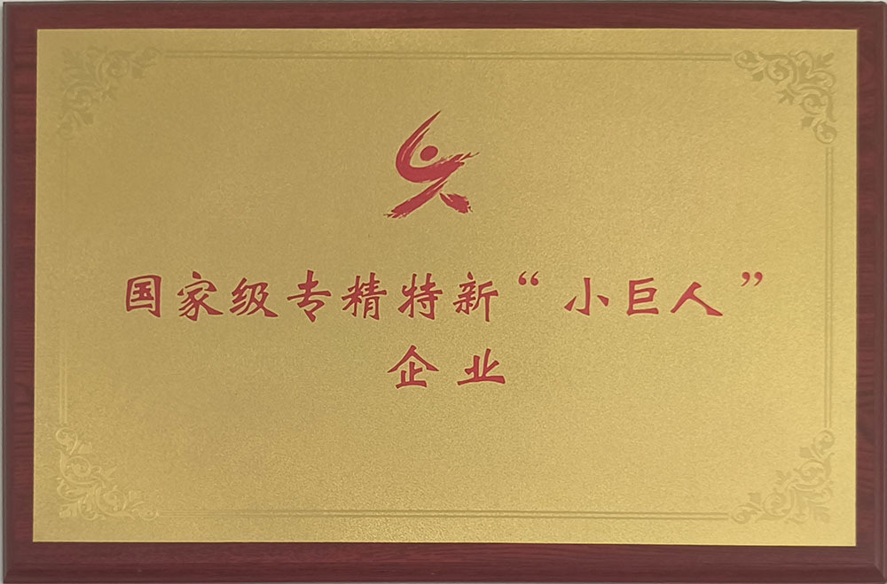 国家级专精特新“小巨人”企业